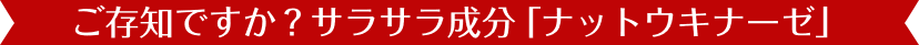 ご存知ですか？サラサラ成分「ナットウキナーゼ」