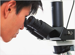 나토키나제의 작용