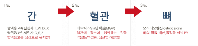 ビタミンKが活性化する因子