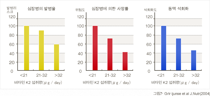 비타민K2(MK-7)은 심장병의 리스크를 낮춘다