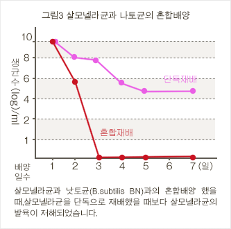 그림3 살모넬라균과 나토균의 혼합배양