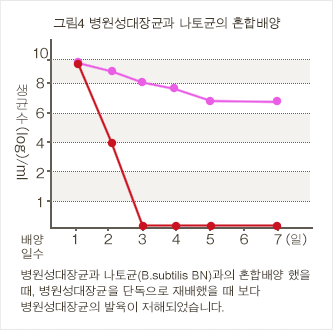그림4 병원성대장균과 나토균의 혼합배양
