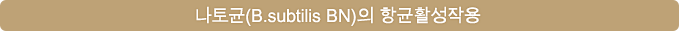 나토균(B.subtilis BN)의 항균활성작용
