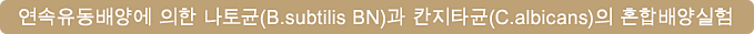 연속유동배양에 의한 나토균(B.subtilis BN)과 칸지타균(C.albicans)의 혼합배양실험